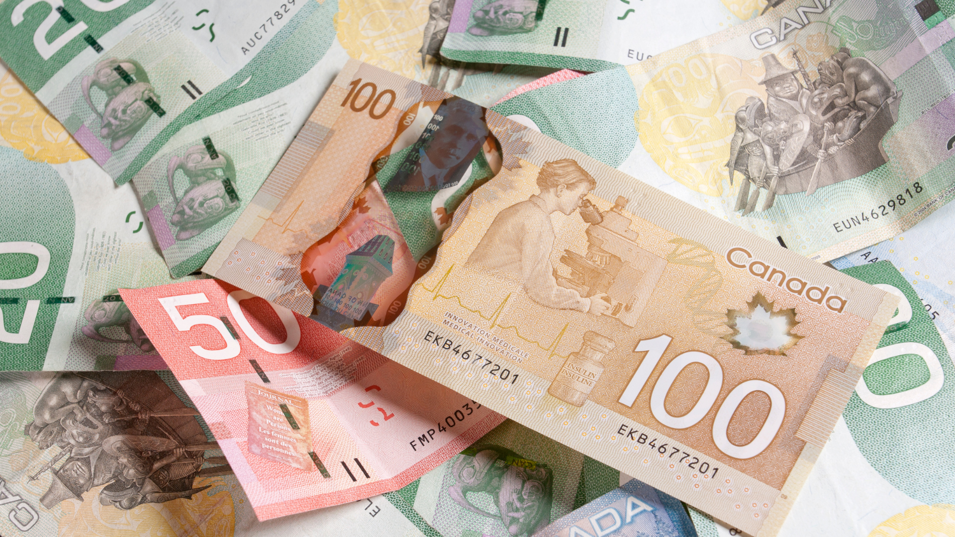 Why Fighting a Ticket Is Often Cheaper Than Paying It